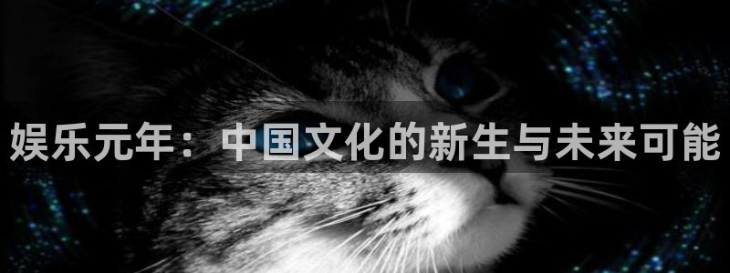 sunbet集团中国官网入口：娱乐元年：中国文化的新生与未来可能