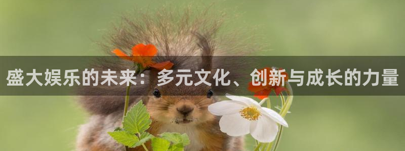 sunbet申搏888：盛大娱乐的未来：多元文化、创新与成长的力量